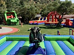 İZTARIM Piknik Organizasyonu