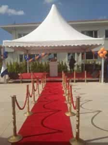 IMG 1250 Scaled 224x300