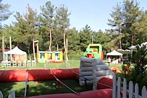 IMG 6355 Scaled 300x200