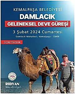 Damlacik Deve Guresi Svm Organizasyon Izmir 1 241x300
